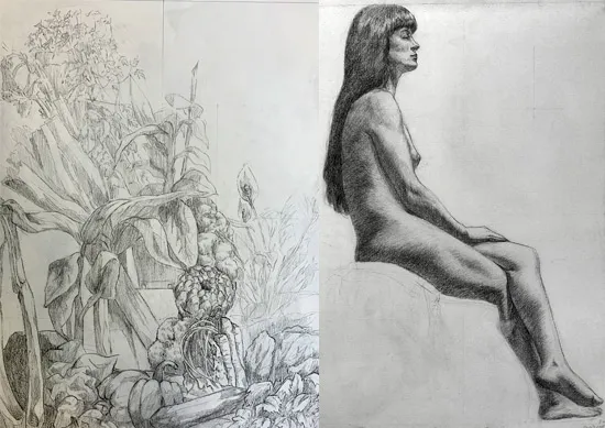 Dessin d'observation Dessin d'observation